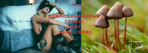 дживик Лихославль