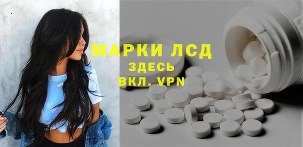 твердый Магас