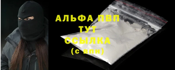 твердый Магас