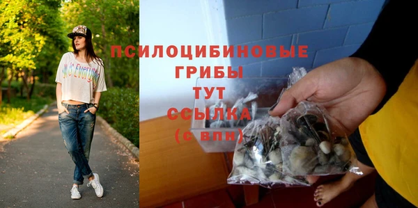 герыч Лиски