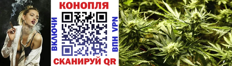 Канабис гибрид  Ладушкин 
